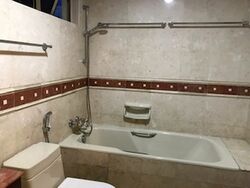 Regent Park (D5), Condominium #494905401